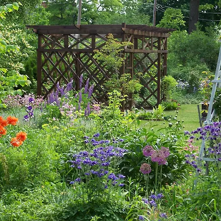 Vintage Gardens Bed & Breakfast-3